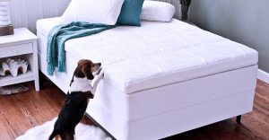 5 Best Mattress Topper for Hip Pain